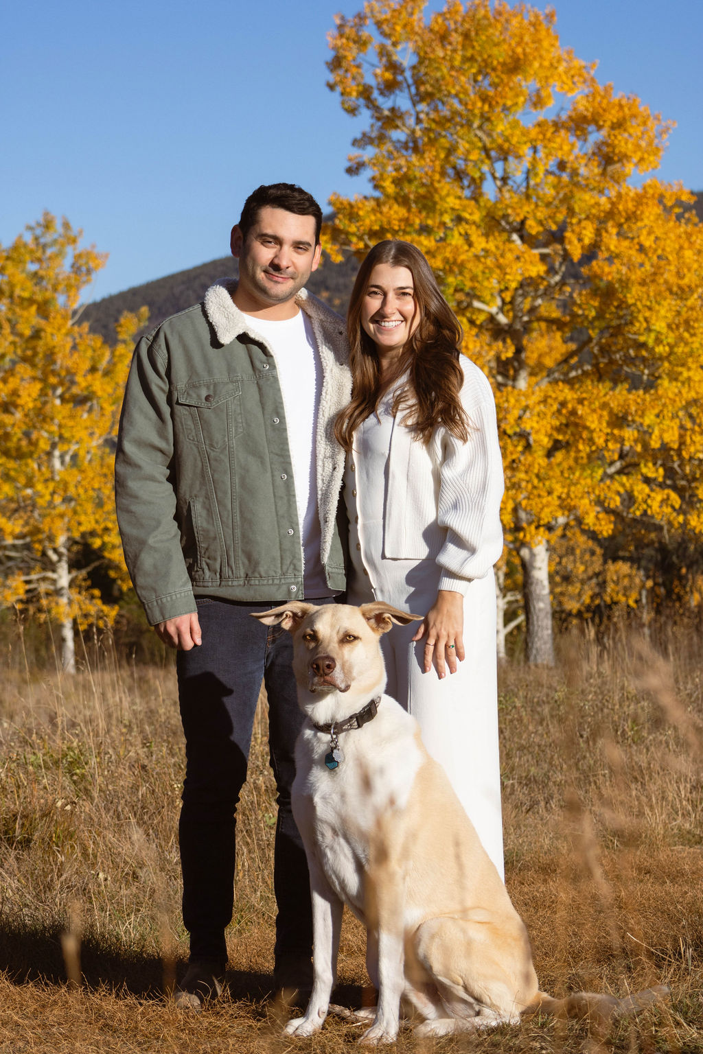 eloping in Colorado with your dogs
